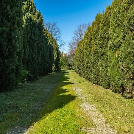 Farm stay Rosaspina - 3 Capalbio