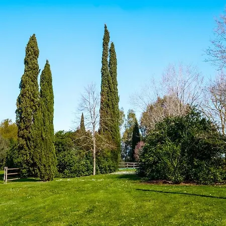 Rosaspina - 3 * Capalbio