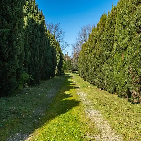Rosaspina - 3 *